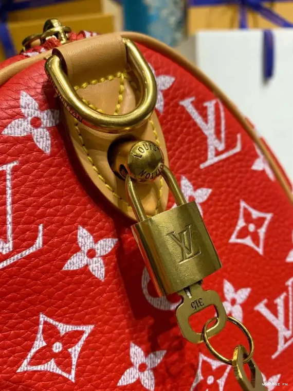 WIS 25 VUITTON  P9 Speedy Bandoulière LOUIS 0515